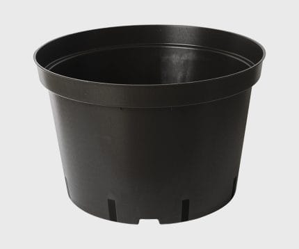 A12580