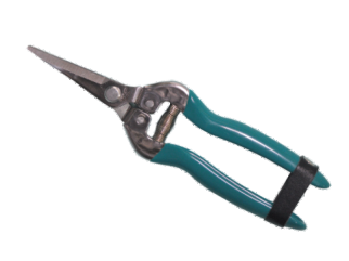 A9439.png MAKAZE VOĆARSKE TAIWAN 428 GCL - Slika 1