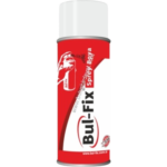 COLOR SPREJ 170ml BELI
