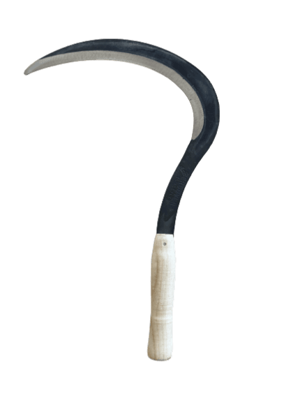 A13054